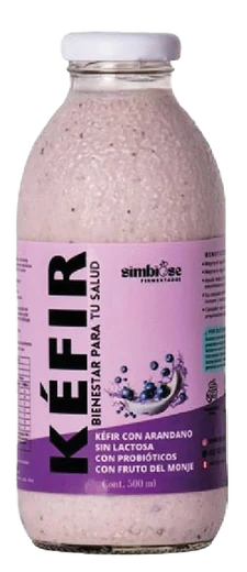 Kéfir de arándano X500ML